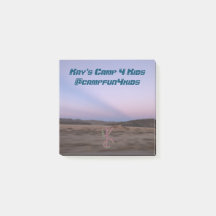 Stickade anteckningar