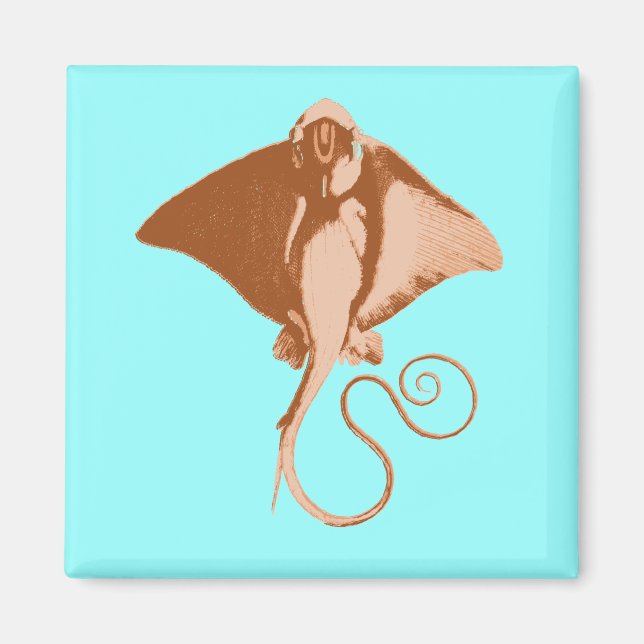 stickande magnet (Framsidan)