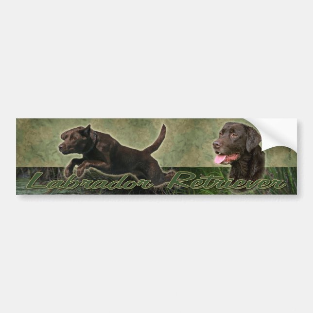 Sticke för collage för chokladLabrador Retriever Bildekal (Framsidan)
