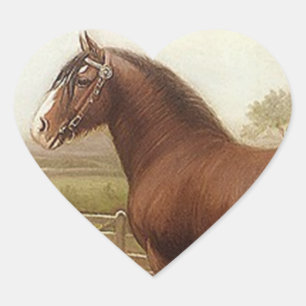 Sticker Antique Bay Clydesdale Draft Horse Parad Hjärtformat Klistermärke