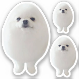 Sticker Egg-Hund Memid Klistermärken