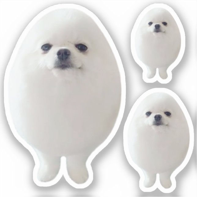 Sticker Egg-Hund Memid Klistermärken (Framsida)