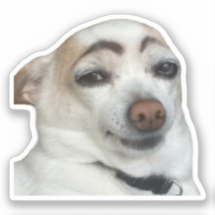 Sticker Eyebrow Hund Meme Klistermärken