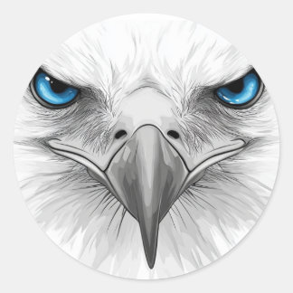 Sticker. Eyes and beak. A stern and serious look. Runt Klistermärke