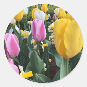 Sticker för Glad påsk Bright Gult Tulips Runt Klistermärke