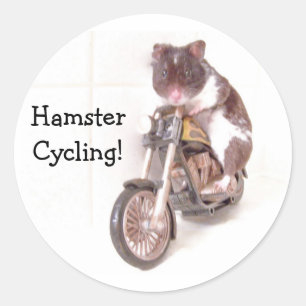 Sticker HamsterCycling! Runt Klistermärke