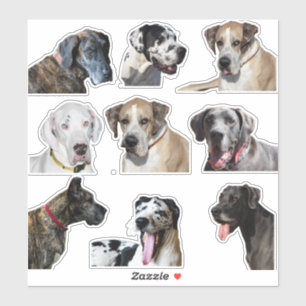 Sticker lakan olika Great dane ansikte Klistermärken