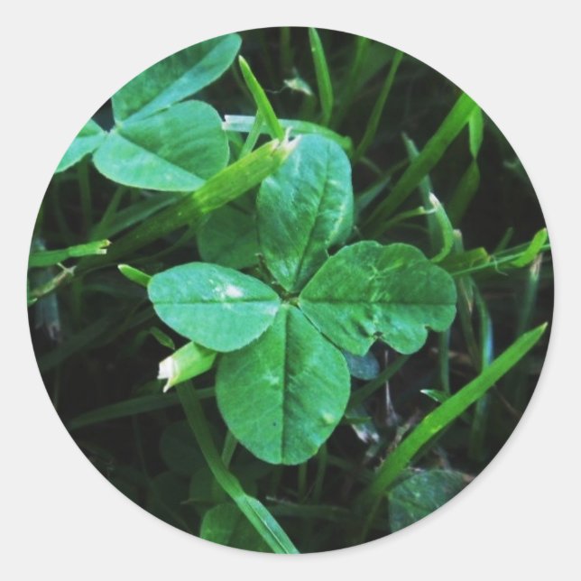 Sticker Porte-bonheur Runt Klistermärke (Framsida)