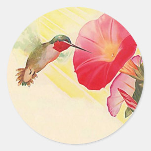 Sticker Ruby Throated Hummingbird @ Flowers Garden Runt Klistermärke