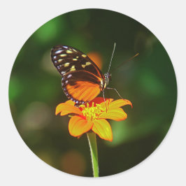 Sticker Runt Klistermärke