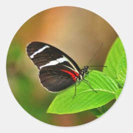 Sticker Runt Klistermärke