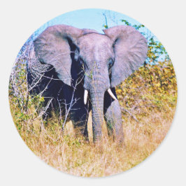 Sticker Runt Klistermärke