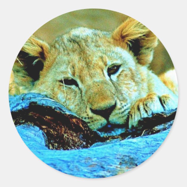 Sticker Runt Klistermärke (Framsida)