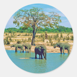 Sticker Runt Klistermärke