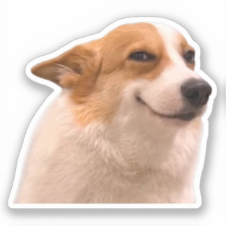 Sticker Smiling Corgi Meme Klistermärken