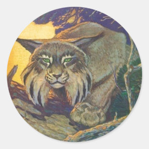Sticker Wildlife Bobcat Cat Hunt Twilight Sundown Runt Klistermärke