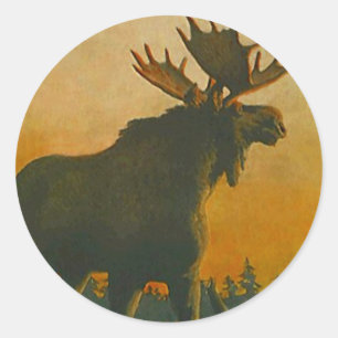 Sticker Wildlife Bull Moose @ Twilight Sundown Runt Klistermärke