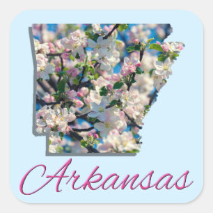 Stickers - ARKANSAS Fyrkantigt Klistermärke