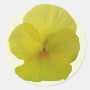 Stickers - Bearded Lemon Pansy Runt Klistermärke