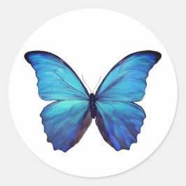 Stickers Blue Morpho Butterfly Runt Klistermärke