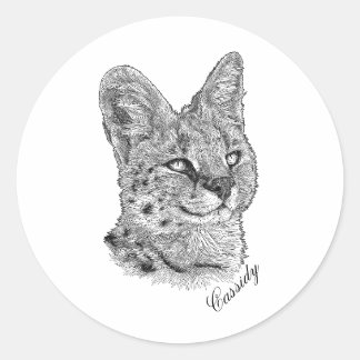 Stickers - Cassidy Runt Klistermärke