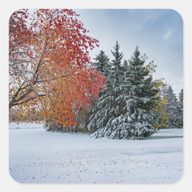 Stickers Fyrkantigt Klistermärke (Framsida)