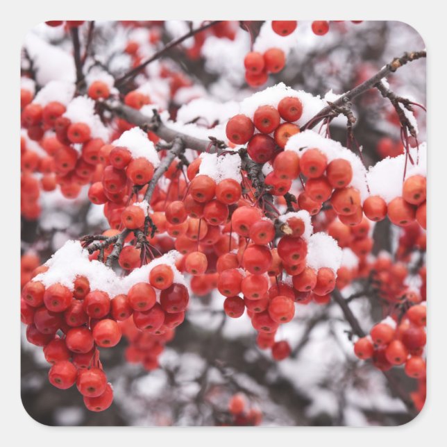 Stickers Fyrkantigt Klistermärke (Framsida)