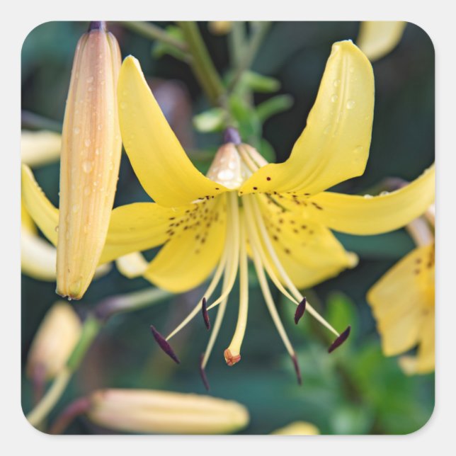 Stickers Fyrkantigt Klistermärke (Framsida)