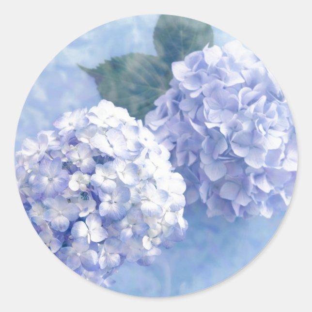 Stickers-Hydrangea Flowers Runt Klistermärke (Framsida)