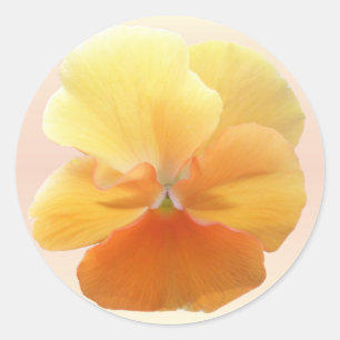Stickers - Orange Pansy Runt Klistermärke