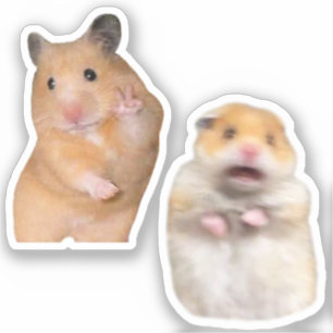 Stickers Peace + Skrämt Hamster Memine Klistermärken