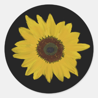 Stickers Round Runt Klistermärke