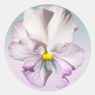 Stickers - Ruffled Lavender Pansy Runt Klistermärke