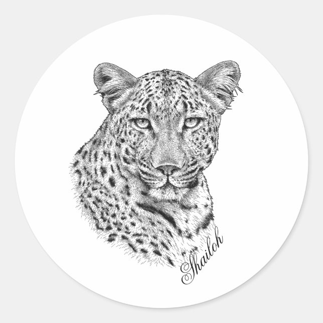 Stickers - Shailoh Runt Klistermärke (Framsida)