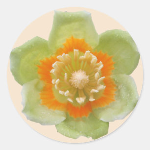 Stickers - Tulip Poplar Tulip på Cream Runt Klistermärke
