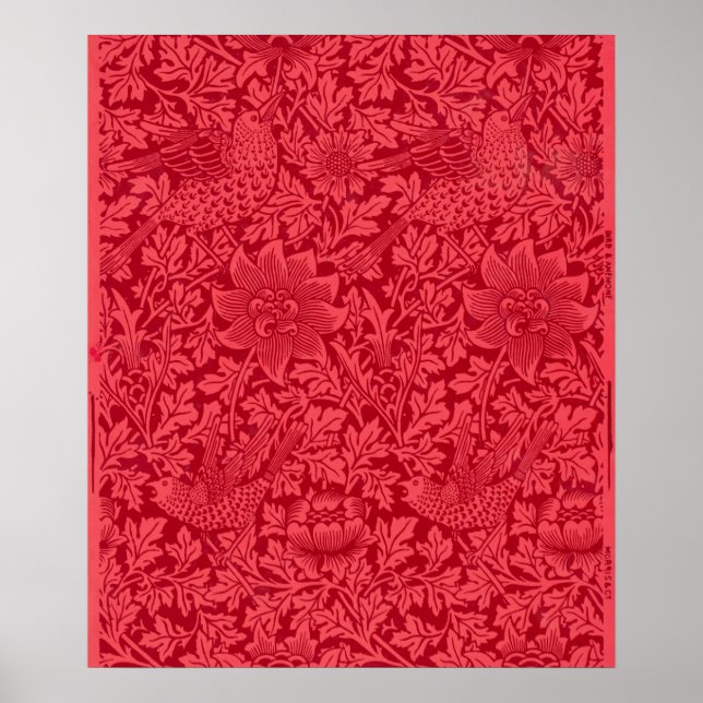 Stickprov från Bird, Anemone Tapet av Morris Poster (Framsidan)