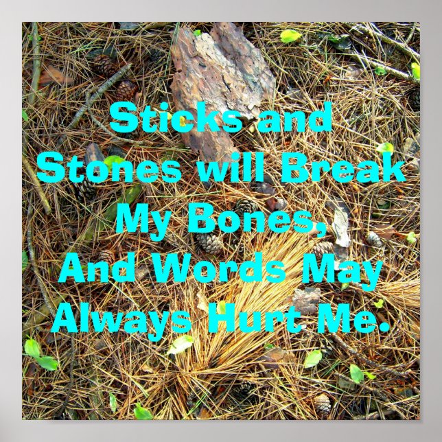 Sticks och stenar bryter mina ben.. Poster (Framsidan)