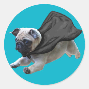 Sticky Pugs Runt Klistermärke