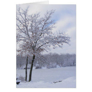 Sticky Snö 24 ~-kort Hälsningskort