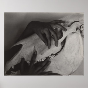 Stieglitz Georgia O'Keeffe Händer Horse Skull Phot Poster
