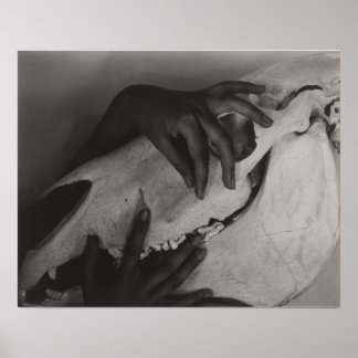 Stieglitz Georgia O'Keeffe Händer Horse Skull Phot Poster