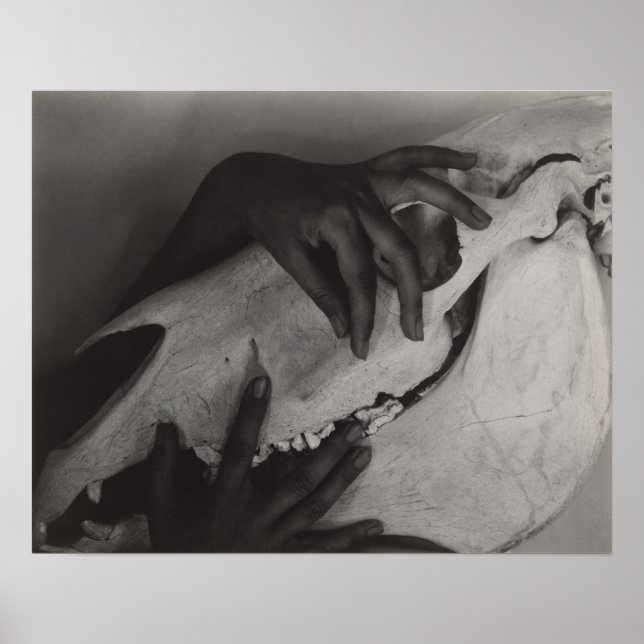 Stieglitz Georgia O'Keeffe Händer Horse Skull Phot Poster (Framsidan)