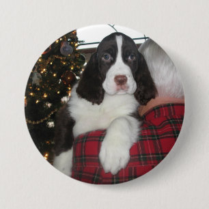 Stift för jul för SpringerSpaniel Knapp