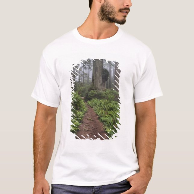 Stig genom jätte redwood-träd höljda 2 tee shirt (Framsida)