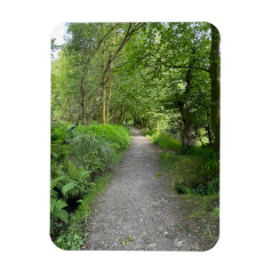 Stig genom skog på Isle of Bute Skottland Magnet