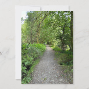 Stig genom skogen på Isle of Bute Skottland Julkort