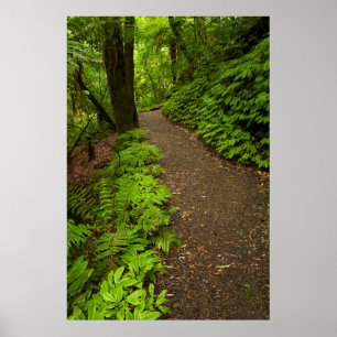 Stig genom skogen poster