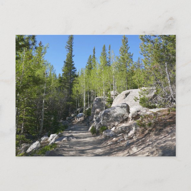 Stig till Alberta Falls Vykort (Framsida)