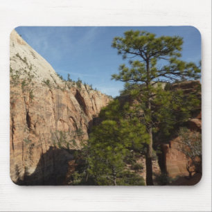 Stig till Angels Landing i Zion National Park Musmatta