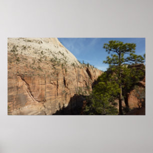 Stig till Angels Landing i Zion National Park Poster
